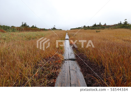Hakkoda wooden road Hakkoda wooden road 58544384