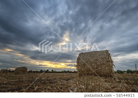 Big bales hay  58544915