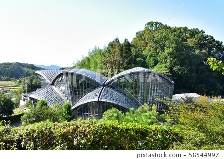 Kashihara insect museum 58544997