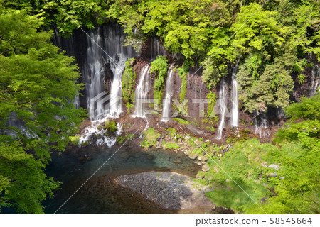 Overlooking the sunny Golden Week, Fujinomiya City, and the fresh green Shiraito Waterfall 58545664