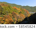 在Hatono巢谷的秋葉 58545824