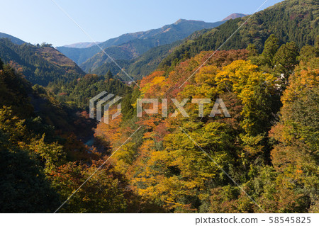 Hatonosu山谷(紅葉) Hatonosu山谷(紅葉) 58545825