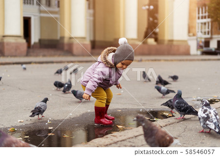 small boy playing in puddles, city square with birds. pigeons. autumn childhood 58546057