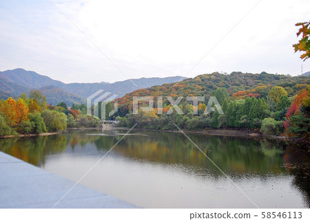 Scenery Scenery 58546113