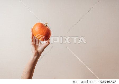 Pumpkin in female hands on white background. Halloween autumn concept. Copy space Pumpkin in female hands on white background. Halloween autumn concept. Copy space 58546232