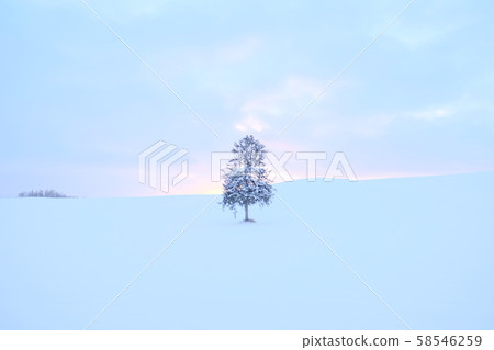 Christmas tree tree Christmas tree tree 58546259