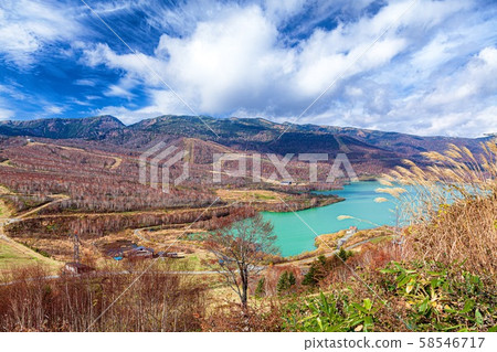 Scenery of Mt. Naeba in autumn leaves, Yuzawa Town, Niigata Prefecture Scenery of Mt. Naeba in autumn leaves, Yuzawa Town, Niigata Prefecture 58546717