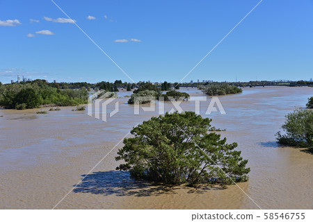 Downstream direction of Arakawa and Iruma River merger 58546755