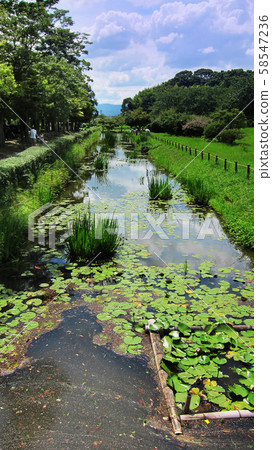 太宰府（太宰府政府遺跡） 58547236