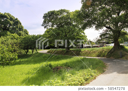 太宰府（太宰府政府遺跡） 58547278