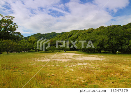 太宰府（太宰府政府遺跡） 58547279