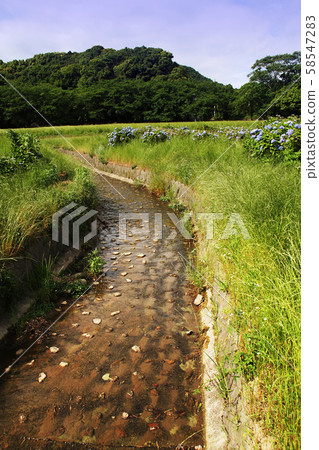 Dazaifu (Remains of Dazaifu Government Office) 58547283