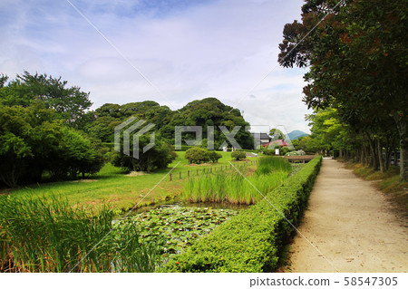 Dazaifu (Remains of Dazaifu Government Office) 58547305