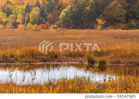 Autumn Towada Hachimantai National Park Hachimantai steamed hot water Autumn Towada Hachimantai National Park Hachimantai steamed hot water 58547985