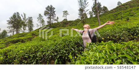 Active caucasian blonde woman enjoing fresh air and pristine nature while tracking among tea Active caucasian blonde woman enjoing fresh air and pristine nature while tracking among tea 58548147