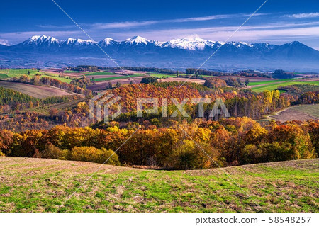 Biei Town, Hokkaido Autumn scenery of Biei hill Biei Town, Hokkaido Autumn scenery of Biei hill 58548257