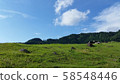 夏季農場 58548446