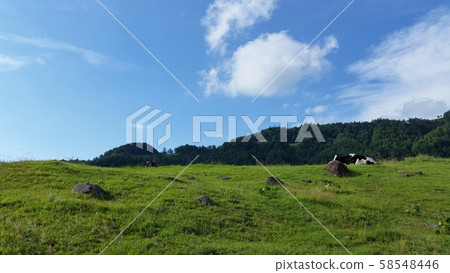 夏季農場 夏季農場 58548446
