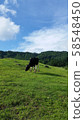 夏季農場 58548450