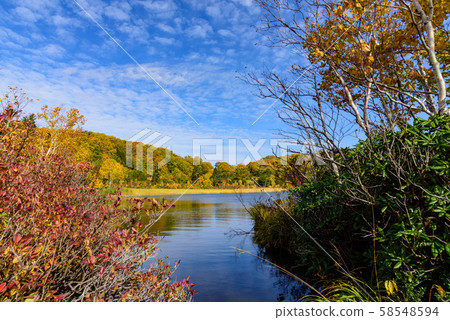 八幡平大沼秋葉 58548594