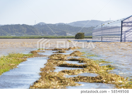 颱風19洪水2019洪水被淹沒 58549508