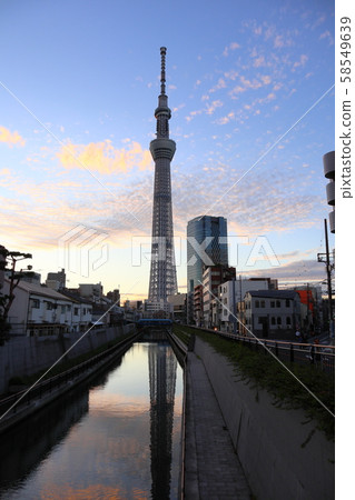 東京天空樹 東京天空樹 58549639