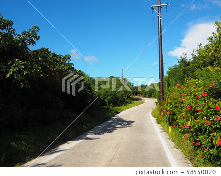 Taketomi Island scenery (road) 58550020