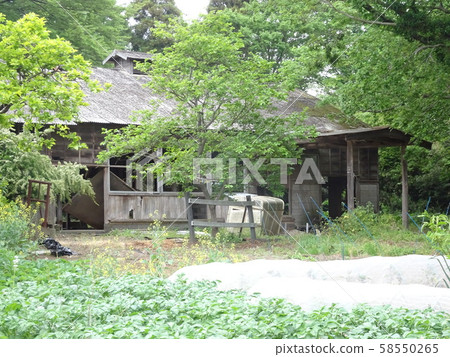 Ruins of cowshed 58550265