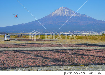 櫻花蝦（靜岡）直升機 58550368