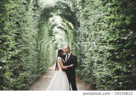 Sensual portrait of a young wedding couple. Outdoor Sensual portrait of a young wedding couple. Outdoor 58550622