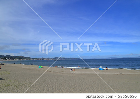 [Flat-rate] Summer Miura Beach (Miura City, Kanagawa Prefecture) 58550650
