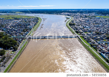Middle Tone River basin flooded by typhoon (Typhoon No. 19 in 2019) 58550856