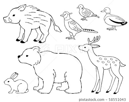 Hand-drawn line drawing illustration set of... - Stock Illustration  [58551043] - PIXTA