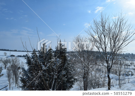 Mio牛肉早上 58551279