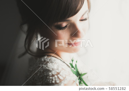Portrait of beautiful bride with fashion veil at wedding morning 58551282