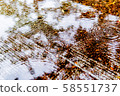Ripples on the rainy road 58551737