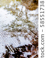 Ripples on the rainy road 58551738