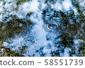 Ripples on the rainy road 58551739