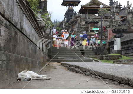 Besakih temple and dog Besakih temple and dog 58551946