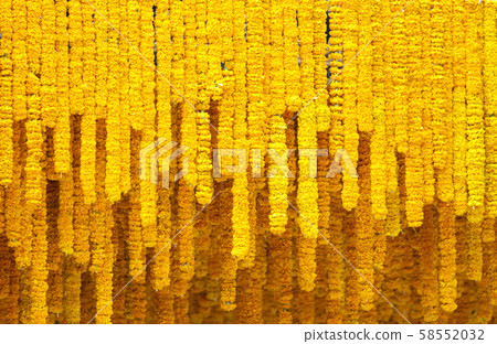 Yellow marigold flower background Yellow marigold flower background 58552032