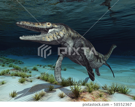 Mosasaur Tylosaurus 58552367