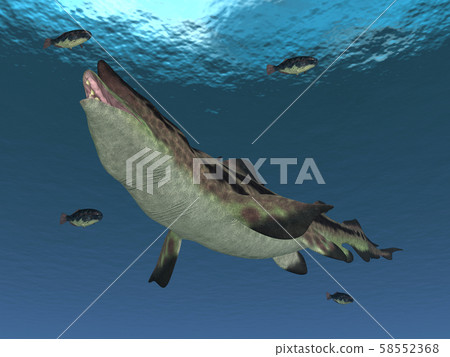 Prehistoric shark Edestus 58552368