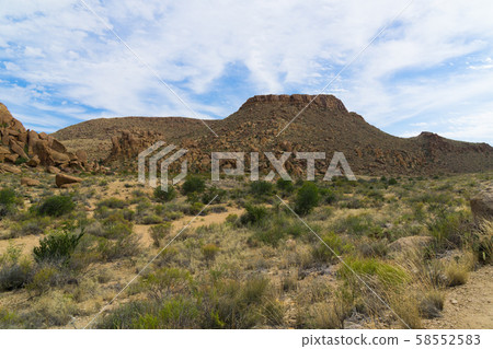Big Bend National Park (Grapevine Hills) 58552583