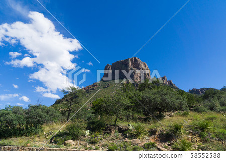 大彎國家公園（Chissos盆地） 58552588