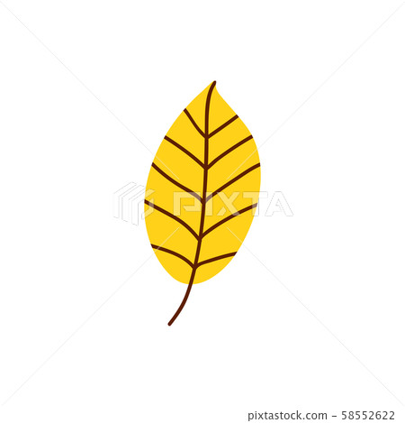 Isolated cute autumn leaf in scandinavian Isolated cute autumn leaf in scandinavian 58552622