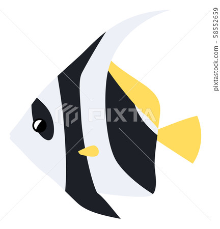 Illustration of grouper 58552659