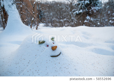Cheerful snowdrift, snowman in anticipation of 58552696
