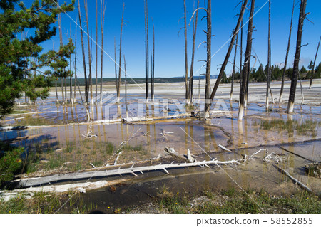 Yellowstone National Park 58552855