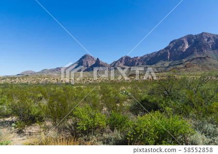 Big Bend National Park (Ros Maxwell Tourism Route) 58552858