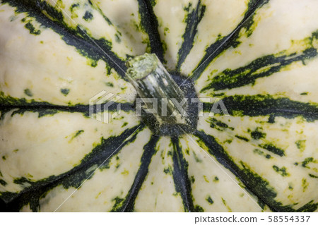 Background and texture of decorative pumpkin Background and texture of decorative pumpkin 58554337